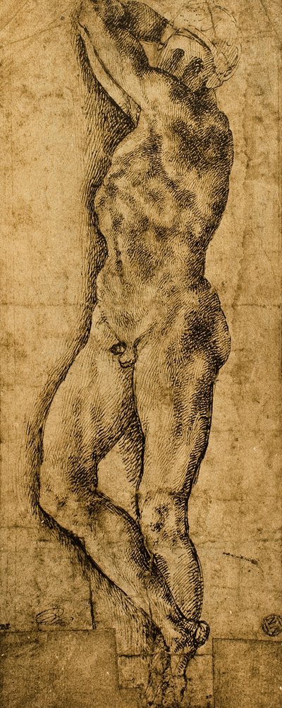 Male Nude by Michelangelo Buonarroti