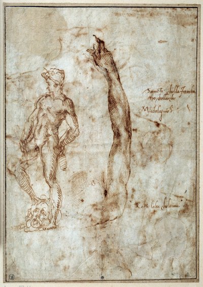 Nude Study. Michelangelo Buonarroti known as Michelangelo by Michelangelo Buonarroti