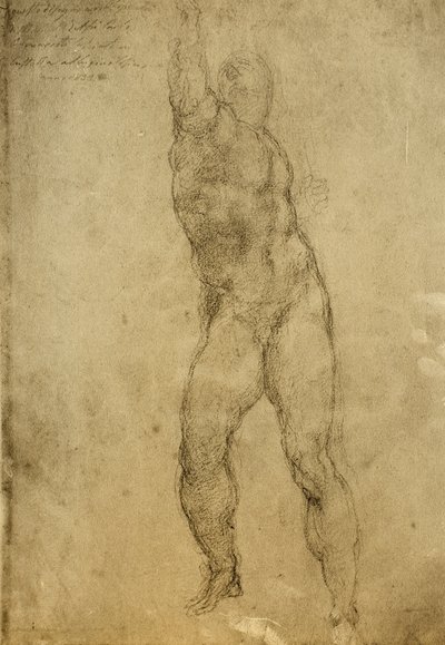 Nude Study by Michelangelo Buonarroti