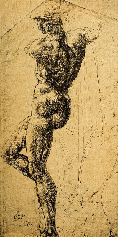 Nude Study by Michelangelo Buonarroti