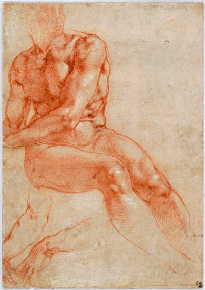 Seated Young Male Nude and Two Arm Studies by Michelangelo Buonarroti