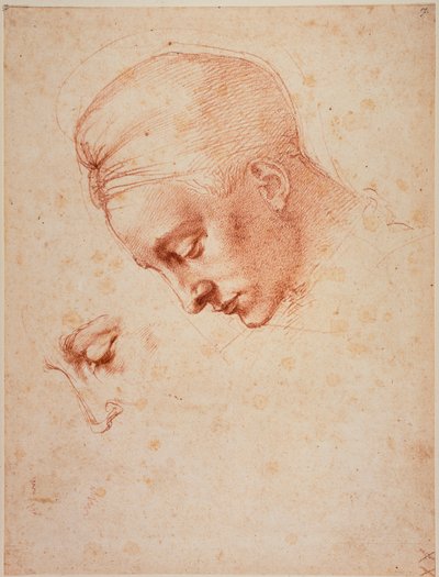Studies for the head of 