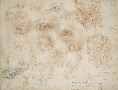 Studies of Two Heads by Michelangelo Buonarroti