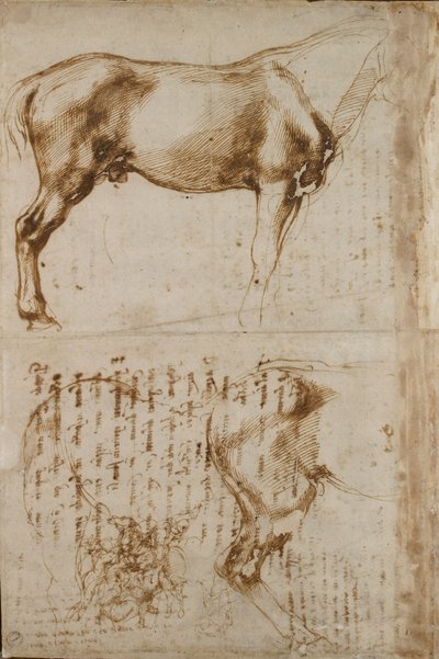 Studies of a Horse and of a Horseman attacking Foot-soldiers, early 16th century by Michelangelo Buonarroti