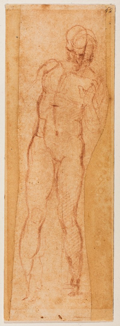 Study for a Manly Figure by Michelangelo Buonarroti