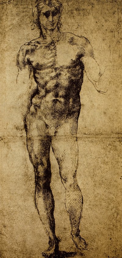 Study for a Male Nude by Michelangelo Buonarroti