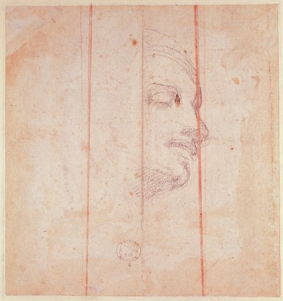 Study for the Head of the Libyan Sibyl by Michelangelo Buonarroti