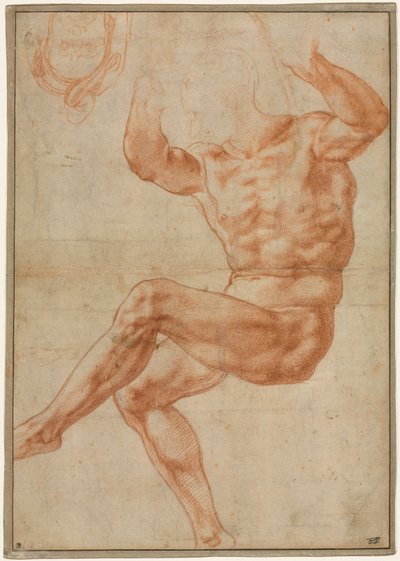 Study for the Nude Youth over the Prophet Daniel (recto) by Michelangelo Buonarroti