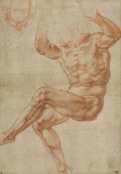Study for the Nude Youth over the Prophet Daniel, for the Sistine Ceiling by Michelangelo Buonarroti