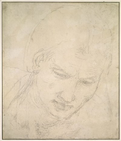 Study of a Head by Michelangelo Buonarroti