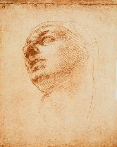 Study of a face by Michelangelo Buonarroti