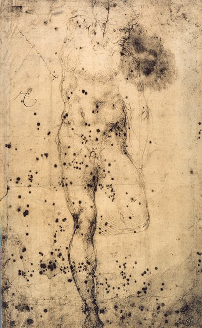Study of a Male Nude with a Raised Left Leg by Michelangelo Buonarroti