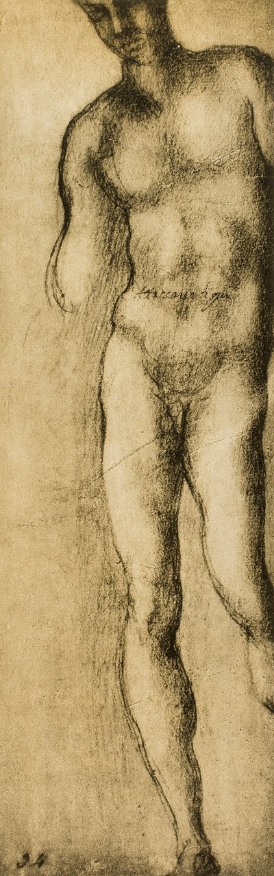 Study of a masculine figure by Michelangelo Buonarroti