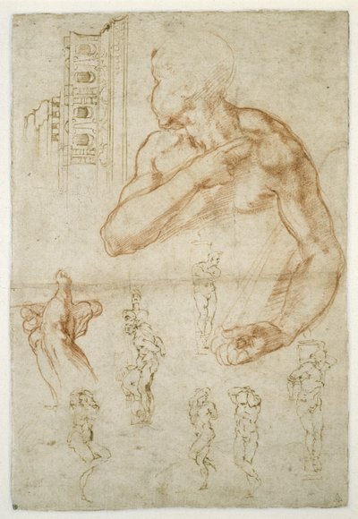 Study of the Assisting Figure of the Libyan Sibyl by Michelangelo Buonarroti