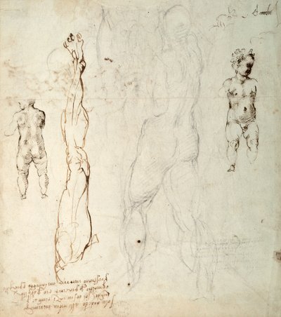 Study of the Christ Child and an Anatomical Drawing with Notes (verso) by Michelangelo Buonarroti