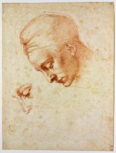 Study to the head of Leda by Michelangelo Buonarroti