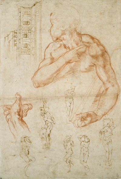 Various Studies for the Sistine Ceiling and the Tomb of Pope Julius II by Michelangelo Buonarroti