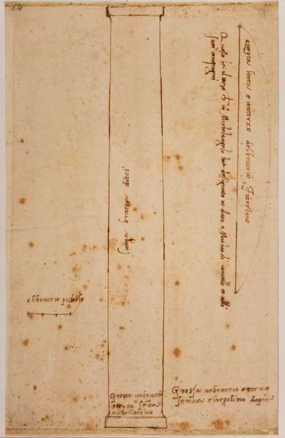 Vertical section of column for the facade of San Lorenzo by Michelangelo Buonarroti