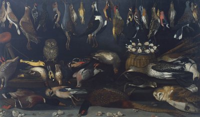 Still life with Birds by Michelangelo Merisi da Caravaggio