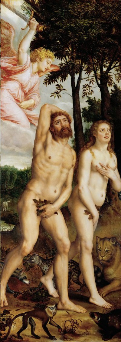 The Fall of Man by Michiel I Coxie or Coxcie