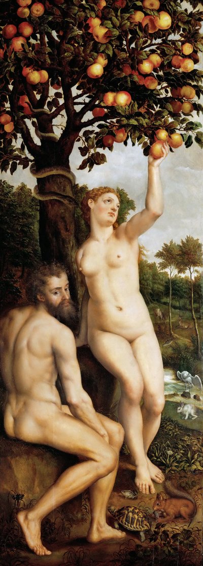 The Fall of Man by Michiel I Coxie or Coxcie