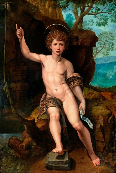 Representation of Saint John the Baptist by Michiel I Coxie or Coxcie