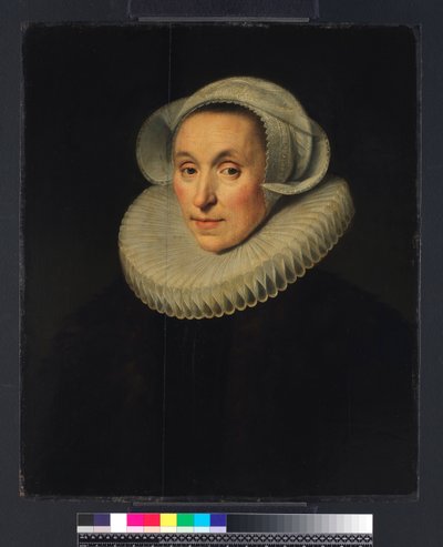 Portrait of a Lady by Michiel Jansz. van Miereveld
