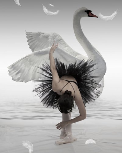 Black Swan Ballerina by Mieke