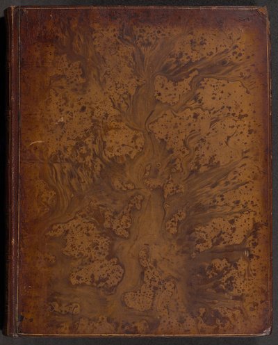 The Ingenious Gentleman Don Quixote of La Mancha by Miguel de Cervantes Saavedra