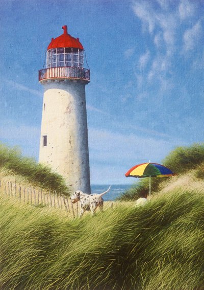 Day in the Dunes by Mike Briscoe