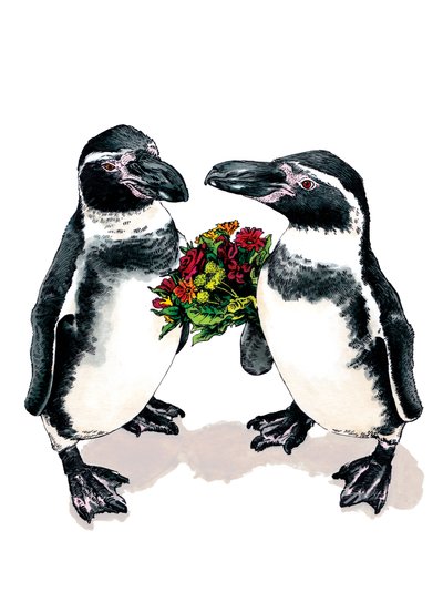 Anniversary Penguins on White by Mike Davis