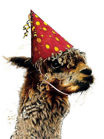 Birthday Alpaca on White by Mike Davis