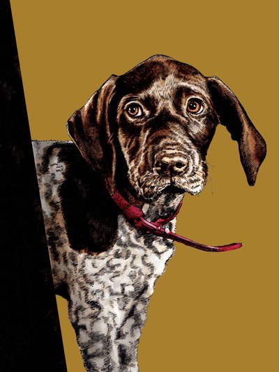 Bye Bye Puppy on Golden Yellow, 2020 by Mike Davis