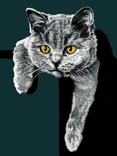 Flora The Kitten on Deep Cyan by Mike Davis