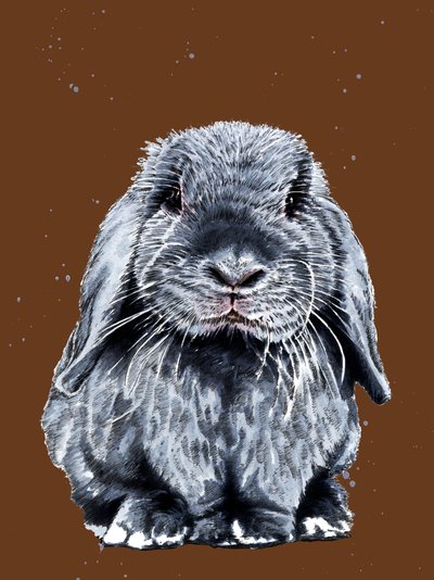 Grey One The Bunny by Mike Davis