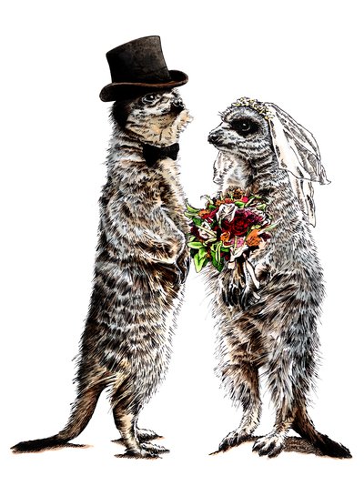 Married Meerkats on White, 2020 by Mike Davis