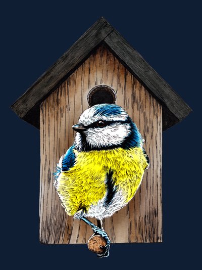 New Home Blue Tit on Midnight Blue by Mike Davis