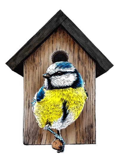 New Home Blue Tit on White, 2020 by Mike Davis