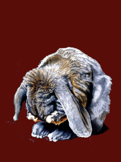 Rabbit Paws by Mike Davis