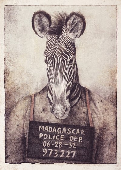 Zebra Mugshot Mystery by Mike Koubou