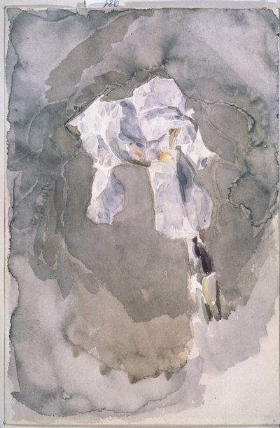White Iris by Mikhail Aleksandrovich Vrubel