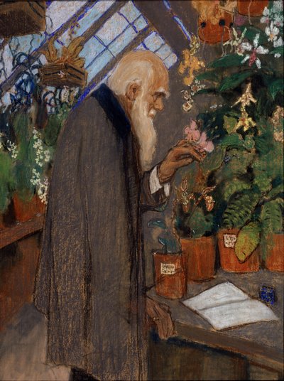 Portrait of Scientist Charles Robert Darwin (1809-1882) Examining Plants in the Langdon-Down Greenhouse by Mikhail Dmitrievich Ezuchevsky