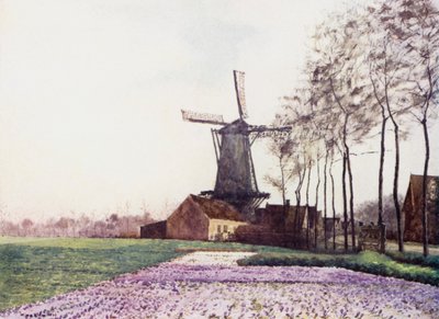 The Promise of Spring by Mima Nixon