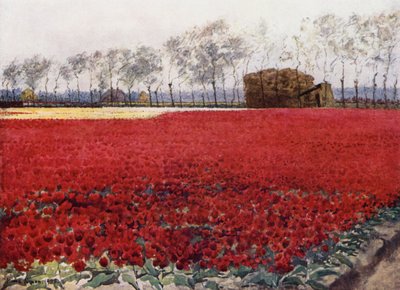 Whose leaves with their crimson glow Hide the heart that lies burning and black below by Mima Nixon
