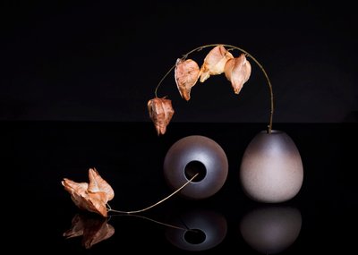Dried Chinese Lanterns by Ming Chen