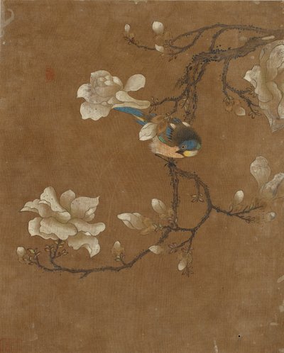 Ten pictures of birds and flowers by Ming Dynasty Chinese School