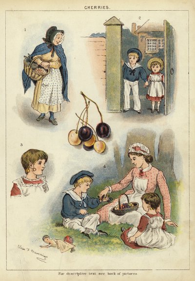 Cherries by Miss Eliza F. Manning