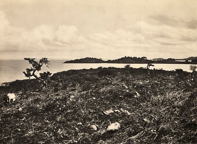 Building an Empire in the Fascist age: Lake Tana, Ethiopia, 09/05/1936 by Modestino Baldinetti