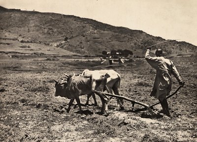 Building an Empire in the Fascist age: ploughing on the altopiano by Modestino Baldinetti