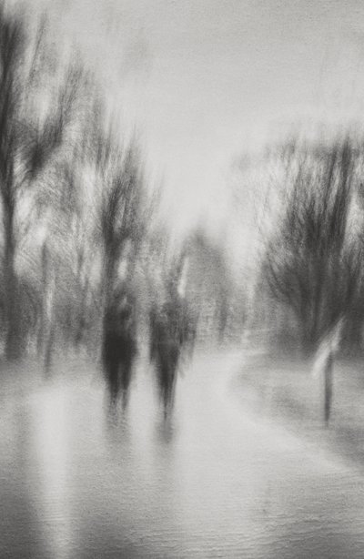 Dreamlike Park Stroll by Molly Fu APA